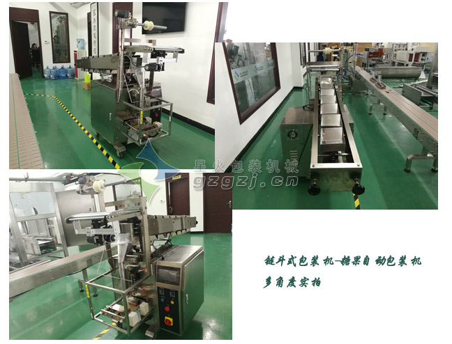 小袋黑胡椒醬自動包裝機(jī)實拍